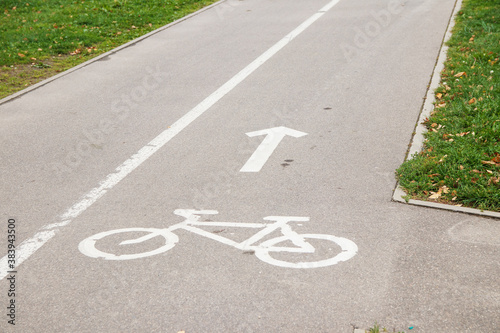Bicycle path sign on asphalt, direction sign for bicycles. Traffic Laws