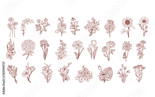 Canvas Print Vector set flowers illustration