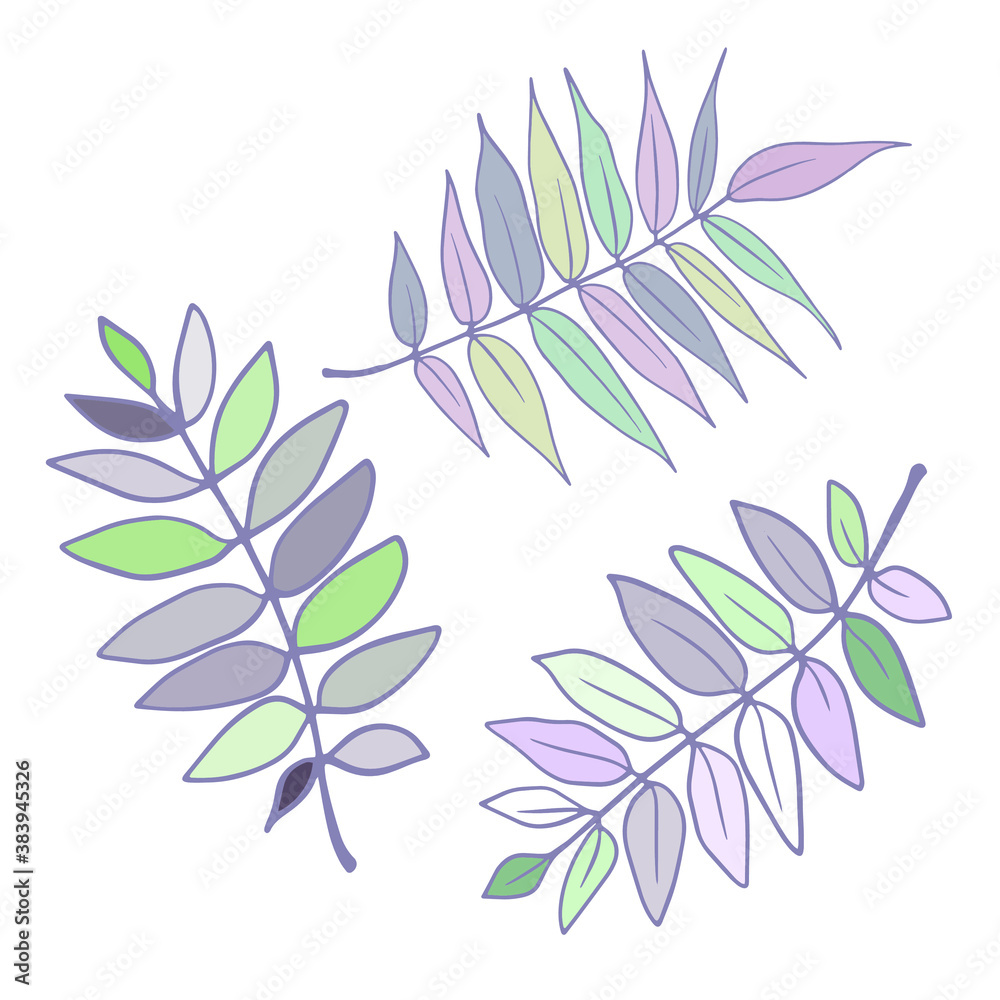 A set of different leaves on a white background. Botanical background.