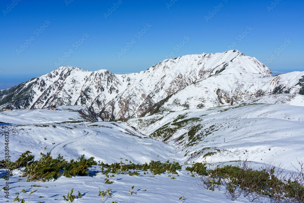 冬晴れの立山大日岳