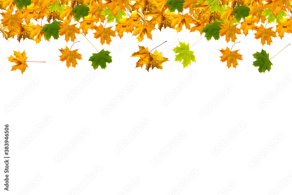 Obraz premium autumn leaves frame isolated on white background