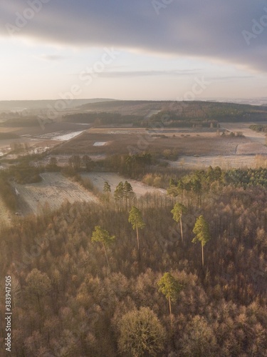 Early spring drone landscape. European forest and fields.