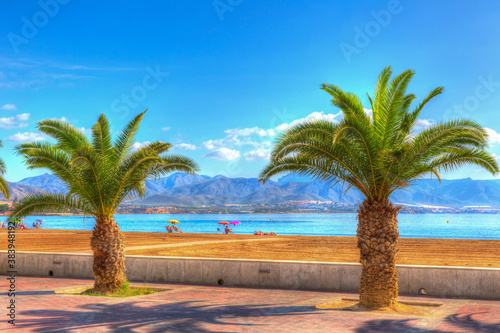 Fototapeta Naklejka Na Ścianę i Meble -  Palm trees Puerto de Mazarron beach Murcia Spain bright vivid colours
