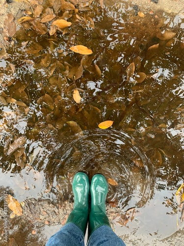 Green rain boots in splashing water with autumn leaves on the ground. Autumn concept.