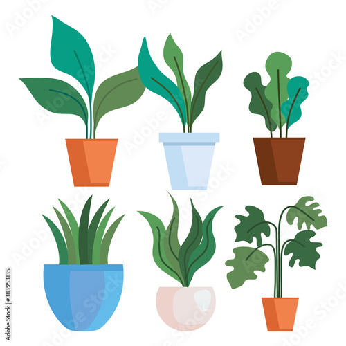 Gardening plants insde pots set design, garden planting and nature theme Vector illustration