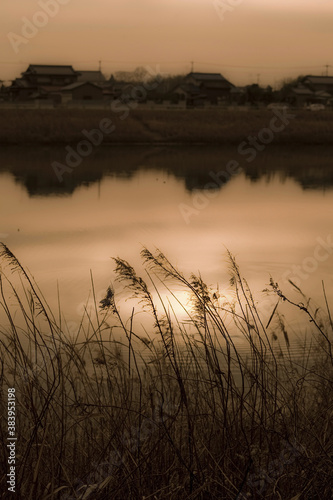 夕暮れの池 photo