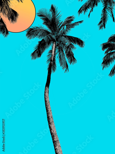 tropical palm tree silhouette  Island Vibes Palm Tree  Summer Vibes Scenery  Tropical Scenery  Palm Trees so Good