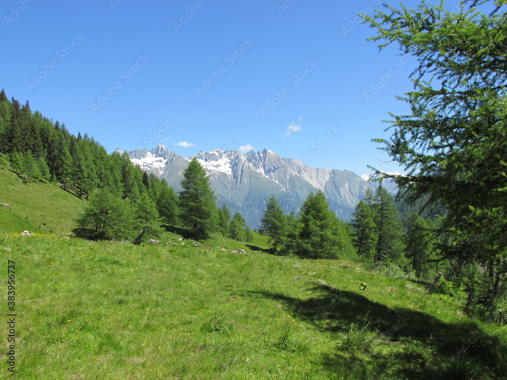 Wunderschöner Ausblick beim Wandern in den österreichischen Alpen