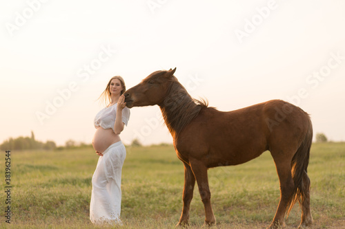 A pregnant girl in white communicates with a horse on a green meadow at sunset. Therapy and relaxation for pregnant women. Antistress therapy