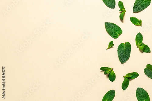 Natural border made from aromatic mint leaves on light yellow background.