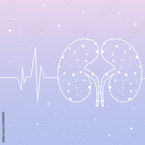 Healthy kidney internal organ low poly geometric model, dot line. Urology system medicine disease treatment. Future science technology arrows vector illustration. The treatment of urological diseases.