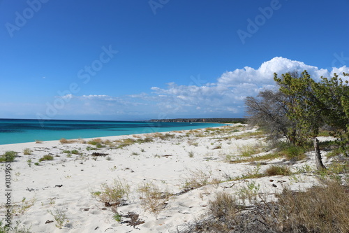 Bahia de las Aguilas 