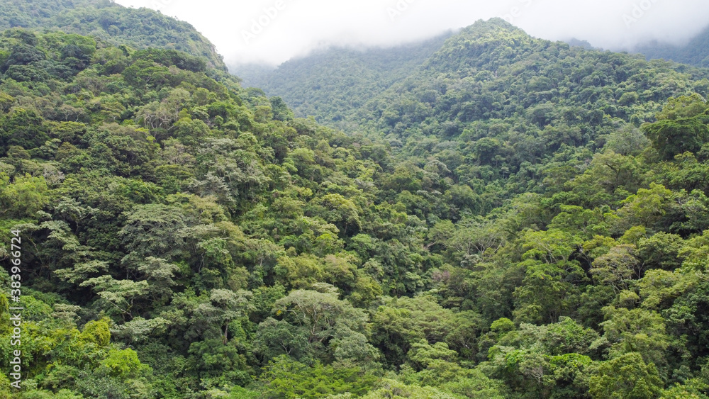 Obraz premium el convento