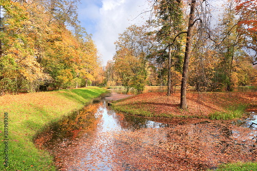 October autumn park in Russia, lake with red leaves and reflection in the lake, Aleksandrovsky park, Tsarskoe Selo, Leningrad region. Autumn landscape, seasons. photo