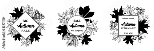 Set of hand drawn autumn designs with chestnut, maple and rowanberry leaves, cones and acorns isolated on white background. Vector illustration in colored sketch style.