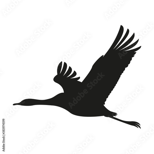 Isolated black stork vector design