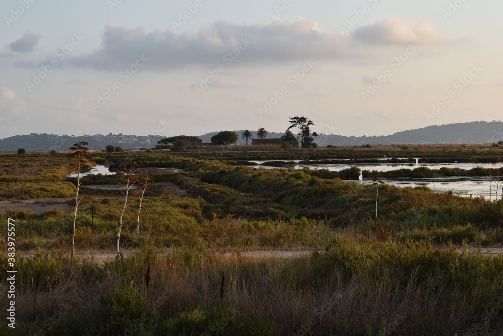 Salin des Pesquiers à Hyères