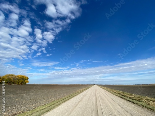 road in the field