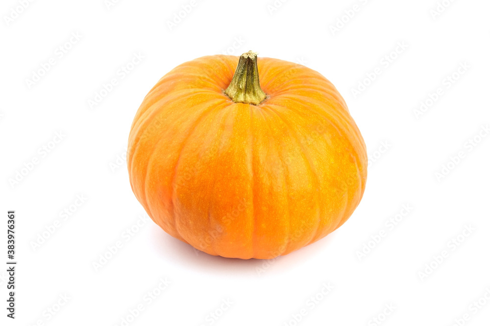 Autumn pumpkin isolated on white background Autumn pumpkin isolated on white background