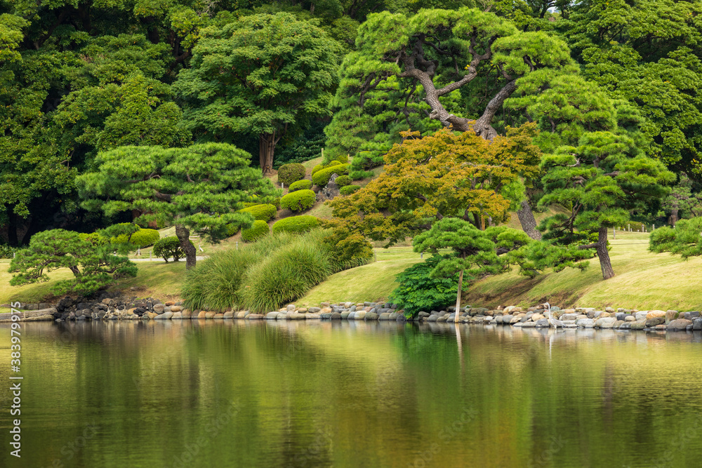 日本庭園にある池と林と森