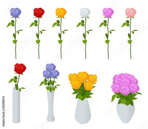 Isometric set of branches of red, white, pink, blue roses isolated on a white background. A bouquet of roses in a vase.