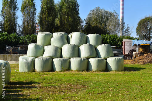 view of hay bales wrapped inside a farm