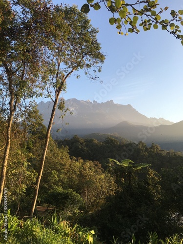 Kota Kinabalu jungle view, Borneo
