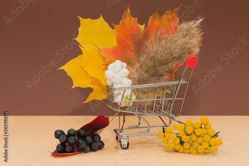 The shopping cart is full of bright autumn leaves, berries and fluffy dried flowers. Conception - autumn sales, delivery and purchase of any goods, online store.