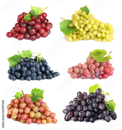 Set of fresh grapes on white background