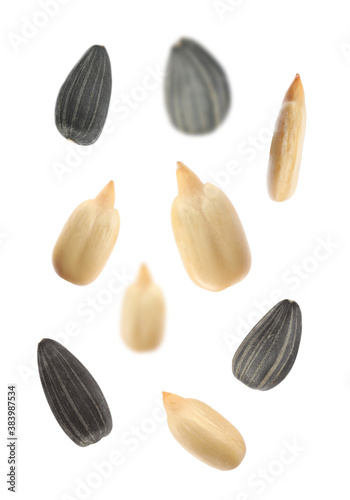 Many sunflower seeds falling on white background