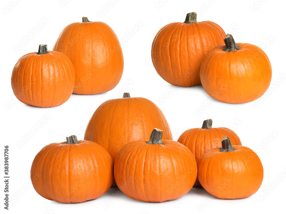 Set of fresh orange pumpkins on white background Set of fresh orange pumpkins on white background