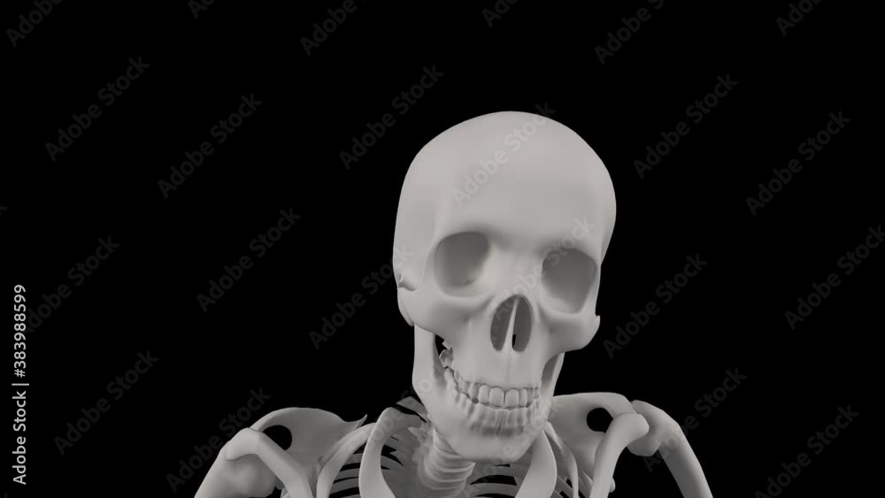 Skeleton crawling. 4k 3D animation of a skeleton crawling towards the camera - Creepy Halloween concept animation Skeleton crawling. 4k 3D animation of a skeleton crawling towards the camera - Creepy Halloween concept animation