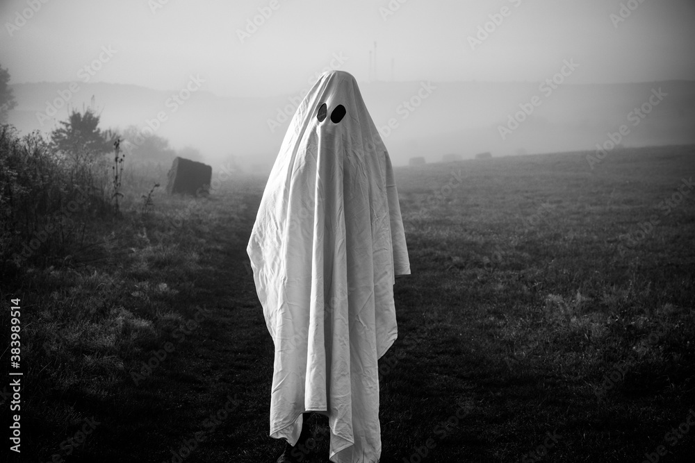 halloween ghost in foggy landscape halloween ghost in foggy landscape