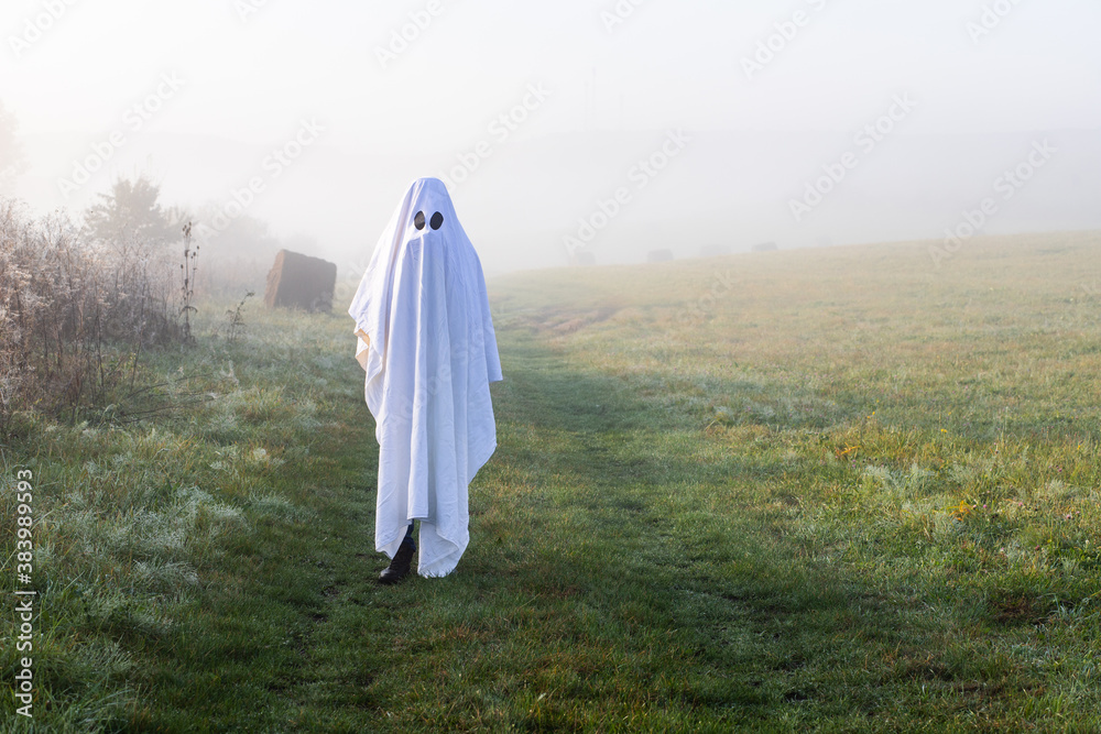 halloween ghost in foggy landscape