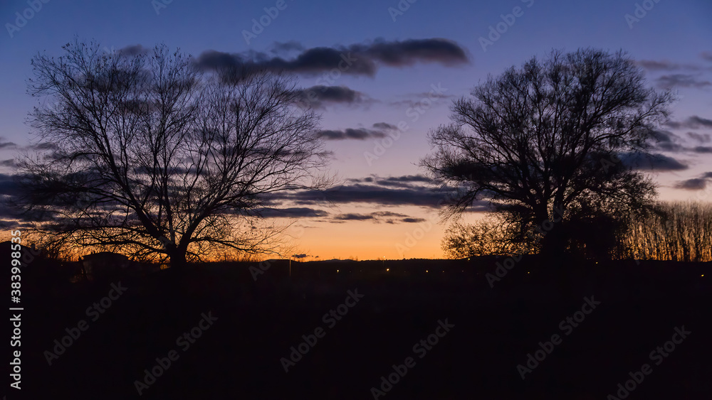 Beautiful sunset or twilight behind the branches of two trees