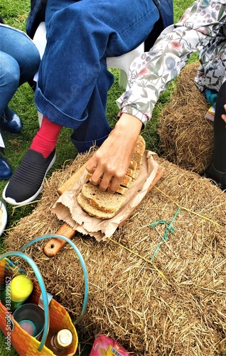 día de campo, almuerzo o desayuno familiar, picnic
