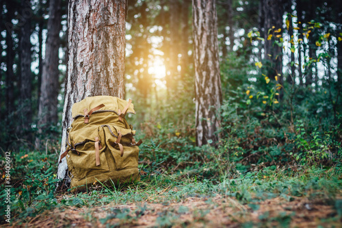 Travel backpack or old hunting bag leaning against a tree on the forest floor. Travel, hiking and camping concept.