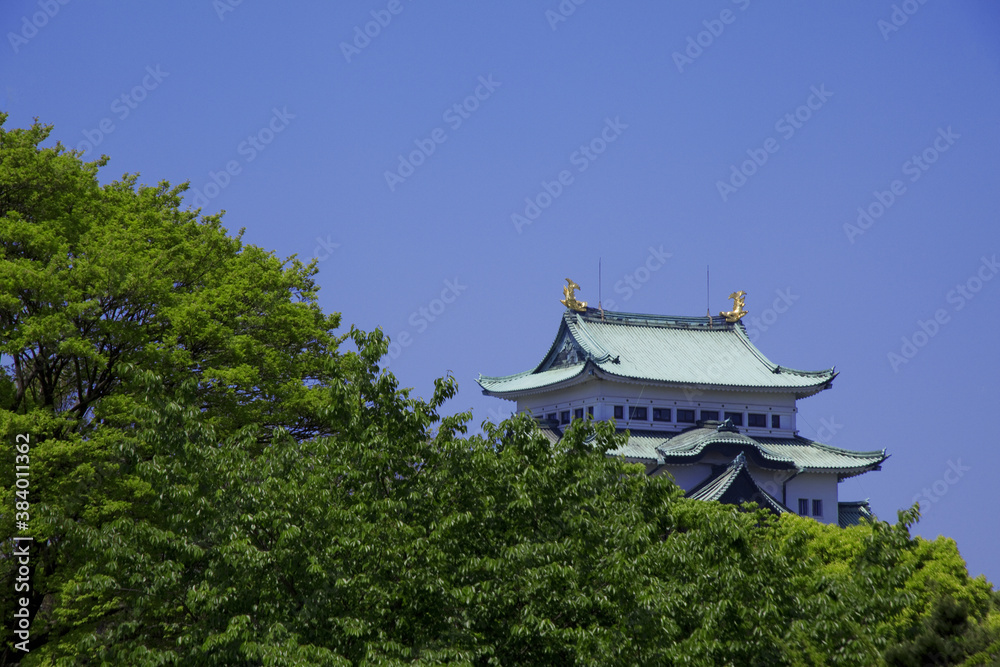 名古屋城の天守閣