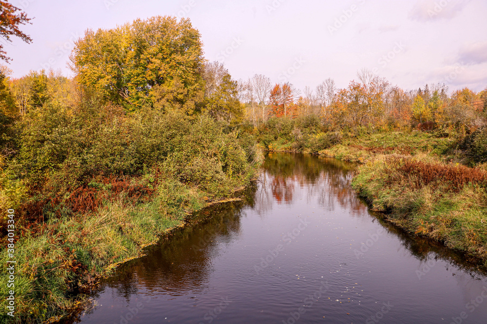 autumn colors at a river.