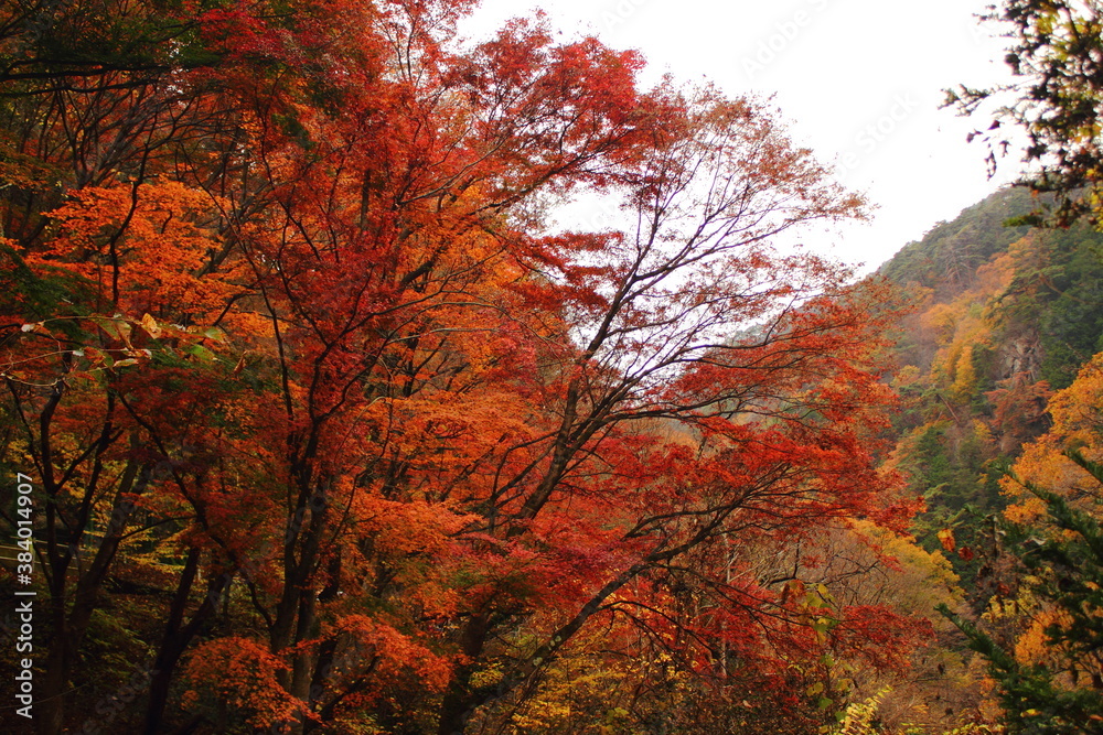 御岳昇仙峡の紅葉風景