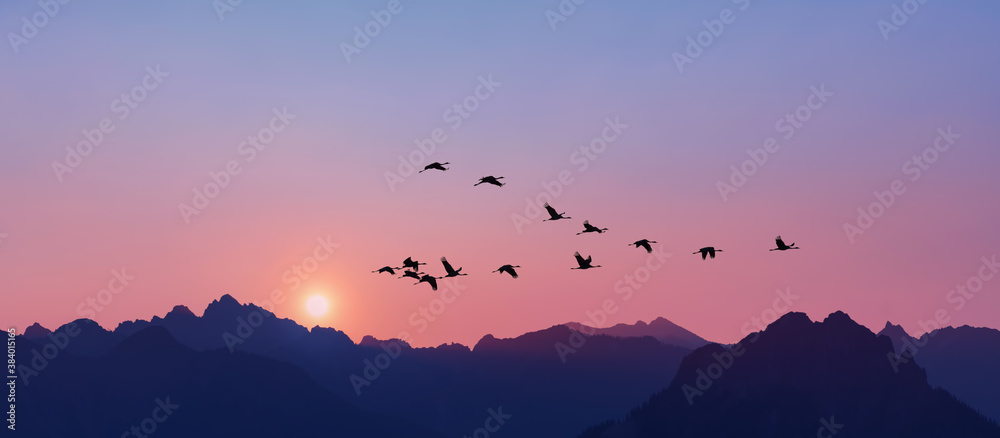 Sandhill Cranes flying across pink clear sky