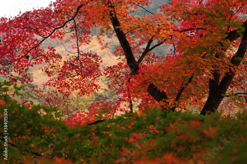 御岳昇仙峡の紅葉風景