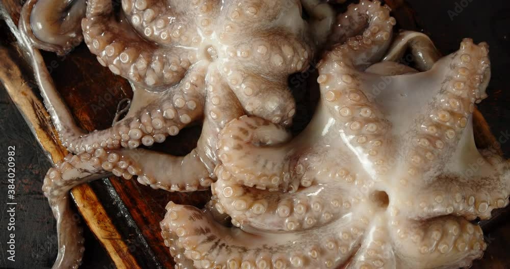 Raw octopus on a wooden cutting board. Raw octopus on a wooden cutting board.