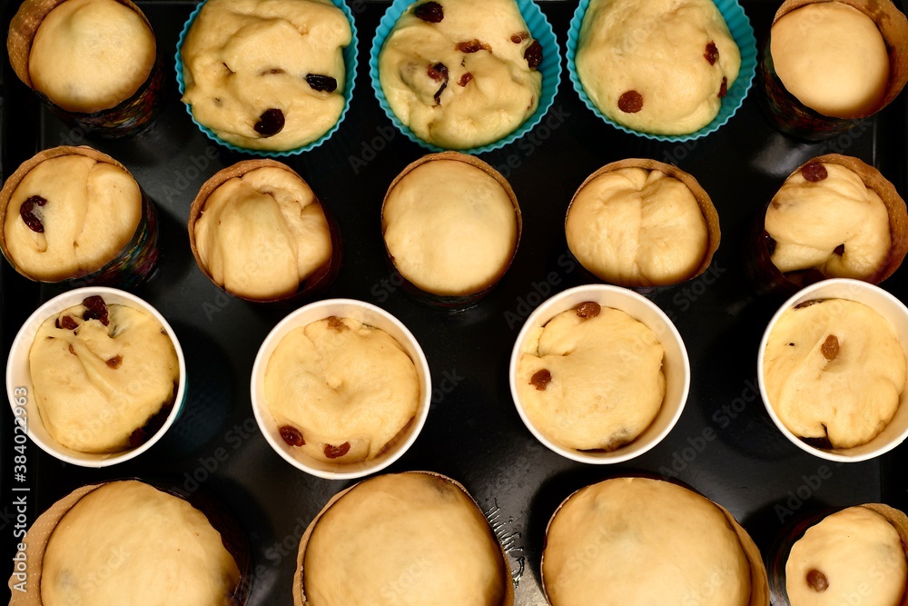 Background image, of round baking dishes with rising yeast dough flavored with raisins. On a black background. Background image, of round baking dishes with rising yeast dough flavored with raisins. On a black background.