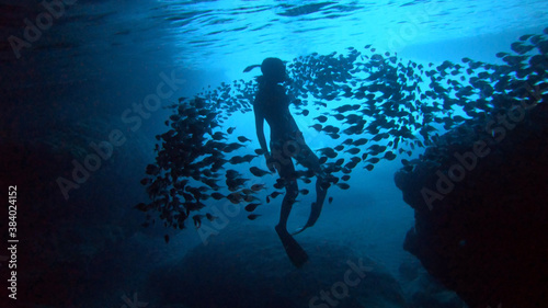 Silhouette of a diver, in the middle of fish in the Blue Room Curaçao