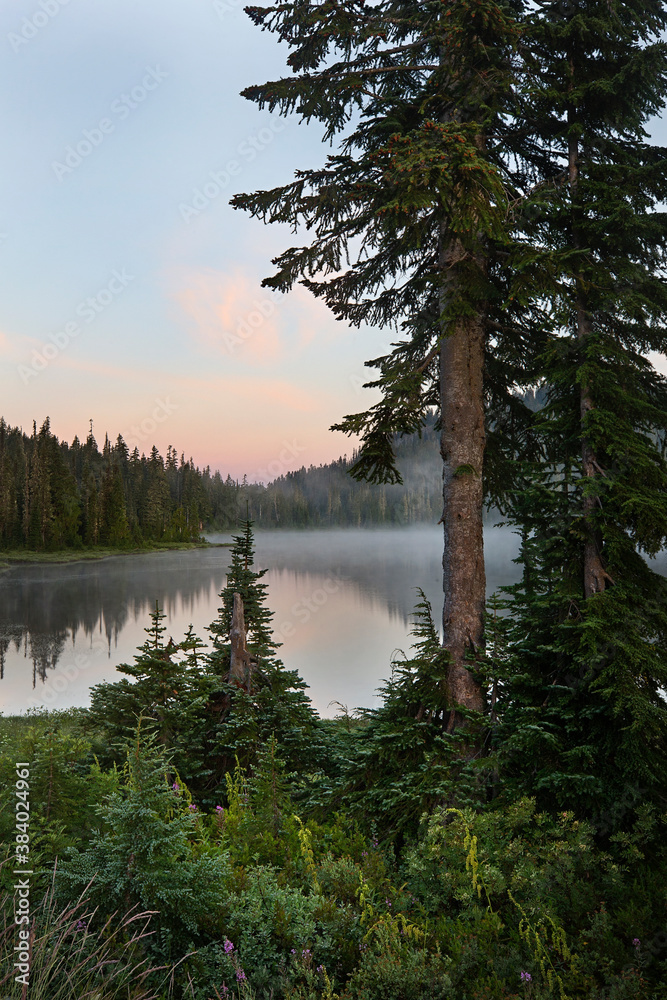 Calm morning along a mountain lake reflections in the water Calm morning along a mountain lake reflections in the water