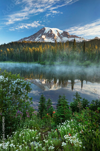 The majestic Mt Rainier looms over Reflection lake. Travel to Mt Rainier, destination to a grand landscape