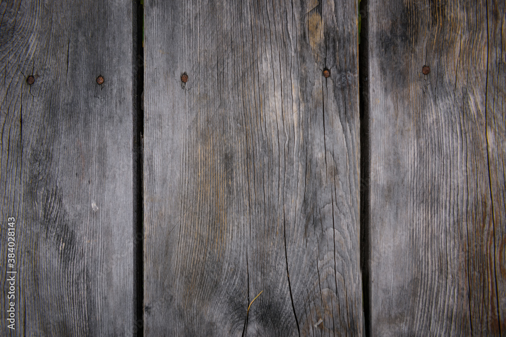Obraz premium Wooden background. Gray vertical boards with rusty nails, close-up. Old tree, fragment of wall, abstract image.