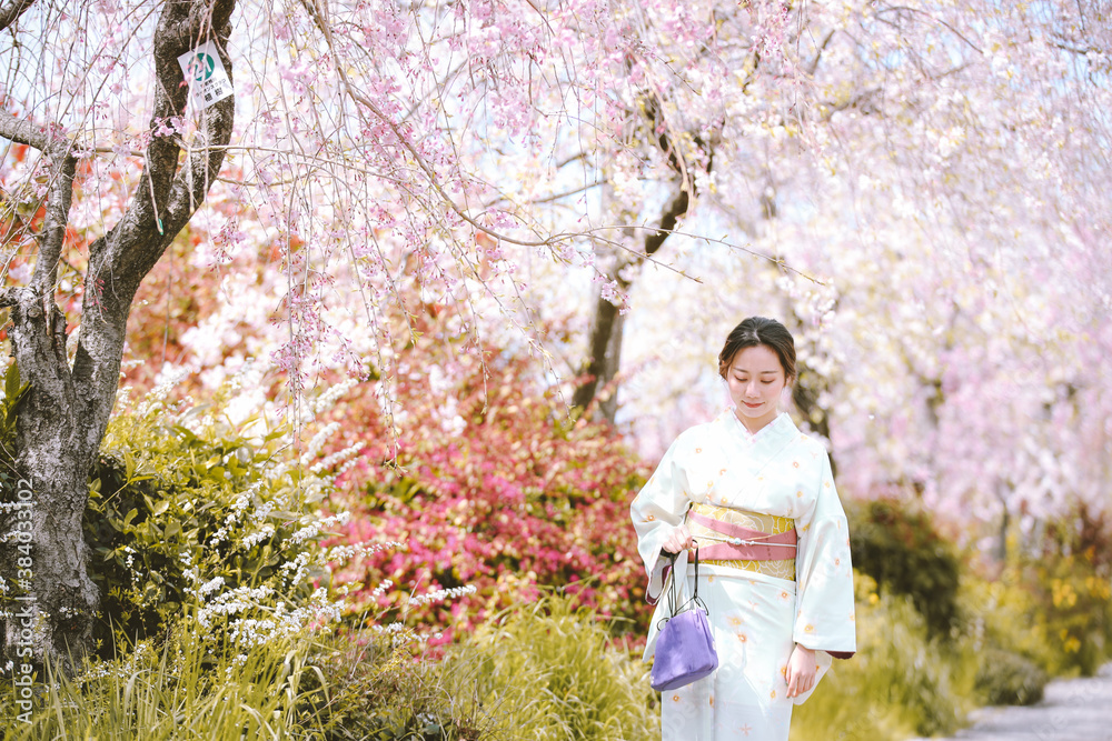 Girls Wearing Kimono with cherry blossoms in spring, Kyoto, Japan Girls Wearing Kimono with cherry blossoms in spring, Kyoto, Japan