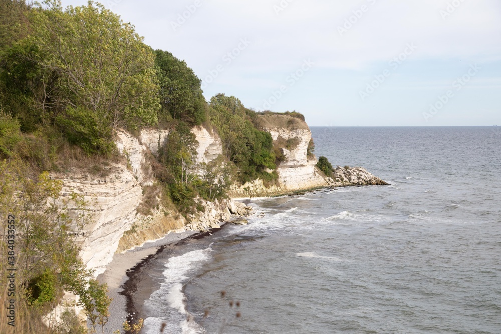 Fototapeta premium The white cliffs of Stevns in Denmark
